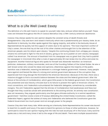 What Is a Life Well Lived: Essay