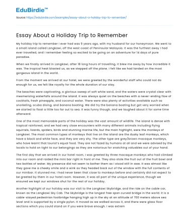 Essay About a Holiday Trip to Remember