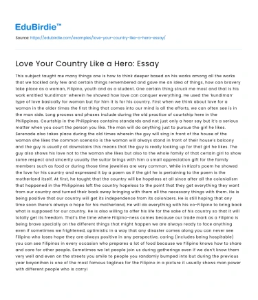 Love Your Country Like a Hero: Essay