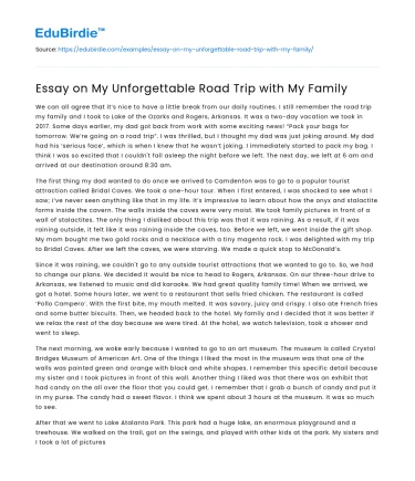 Essay on My Unforgettable Road Trip with My Family