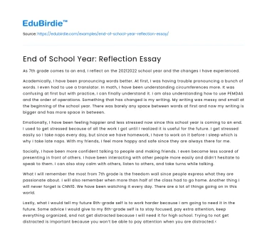 End of School Year: Reflection Essay