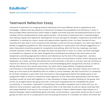 Teamwork Reflection Essay