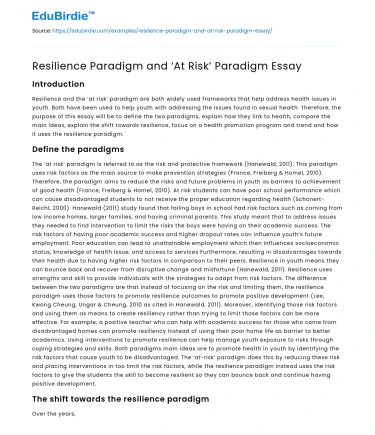 Resilience Paradigm and ‘At Risk’ Paradigm Essay