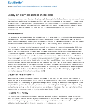Essay on Homelessness in Ireland