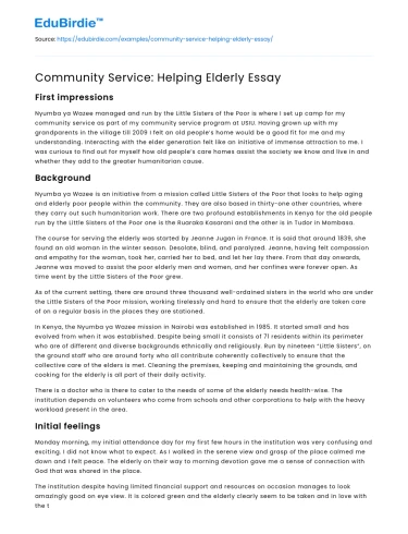 Community Service: Helping Elderly Essay