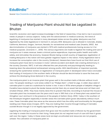 Trading of Marijuana Plant should Not be Legalized in Bhutan
