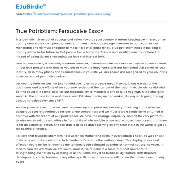 True Patriotism: Persuasive Essay