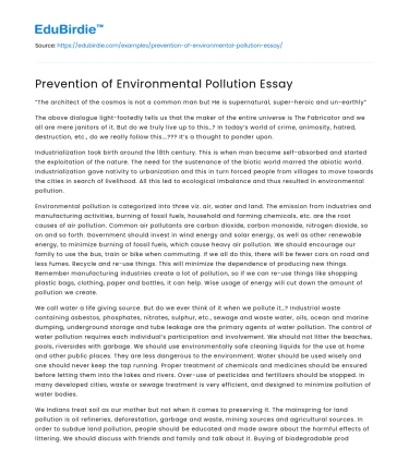 Prevention of Environmental Pollution Essay