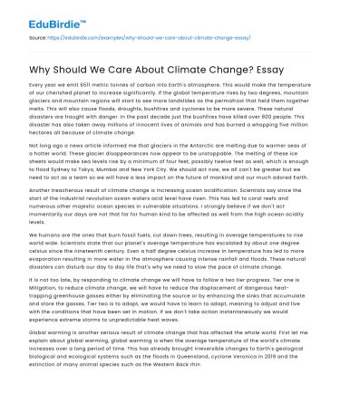 Why Should We Care About Climate Change? Essay