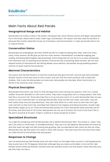 Main Facts About Red Panda