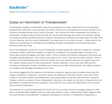Essay on Feminism in ‘Frankenstein’