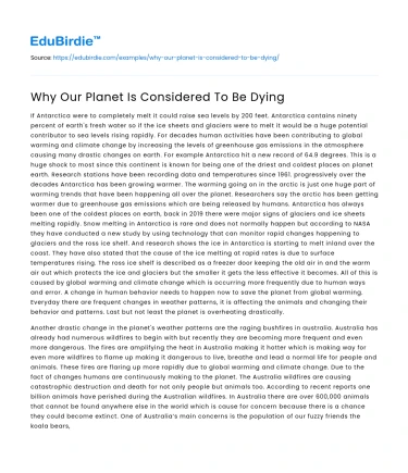 Why Our Planet Is Considered To Be Dying