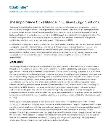 The Importance Of Resilience In Business Organisations