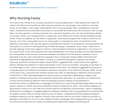 Why Nursing Essay