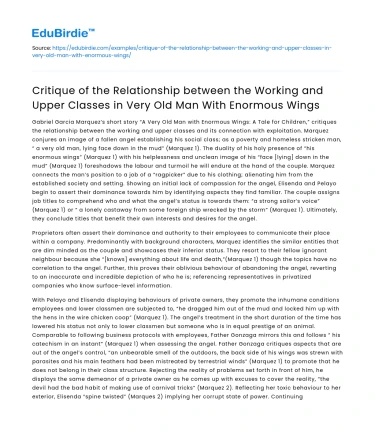 Class relations in “Very Old Man With Enormous Wings”