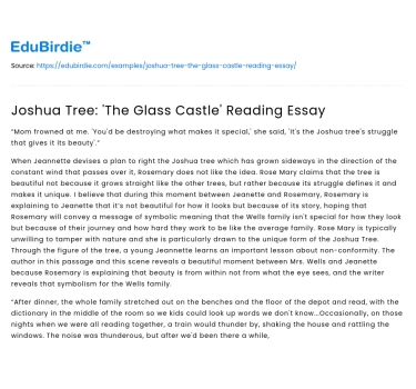 The Symbolism in ‘The Glass Castle’