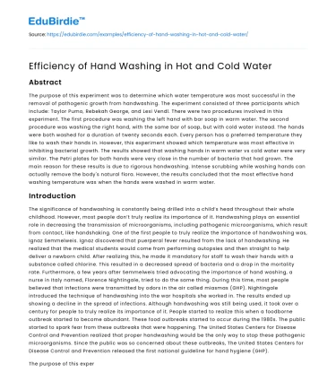 Efficiency of Hand Washing in Hot and Cold Water