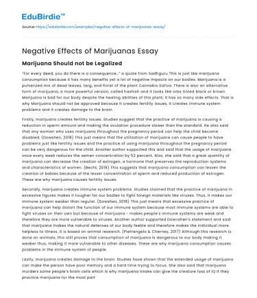 Negative Effects of Marijuanas Essay