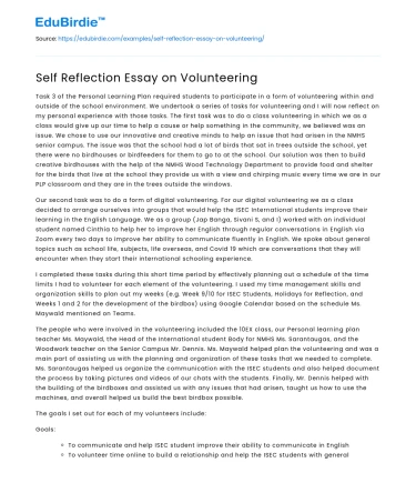 Self Reflection Essay on Volunteering