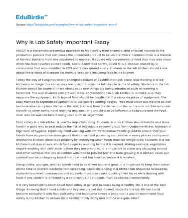 Why Is Lab Safety Important Essay