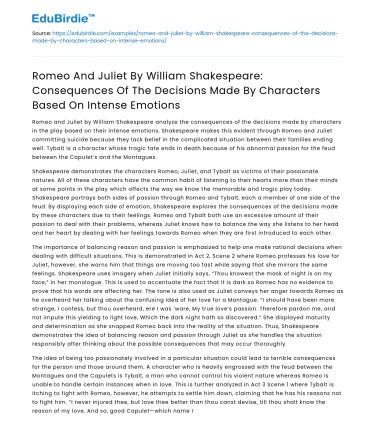 Consequences of Decisions in Romeo and Juliet