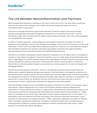 The Link Between Neuroinflammation and Psychosis