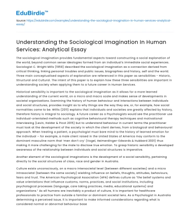 Analyzing Sociological Imagination in Human Services