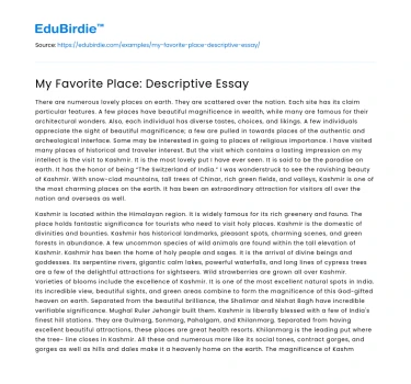 My Favorite Place: Descriptive Essay