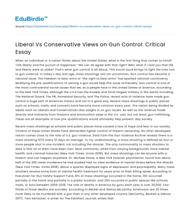 Liberal Vs Conservative Views on Gun Control: Critical Essay