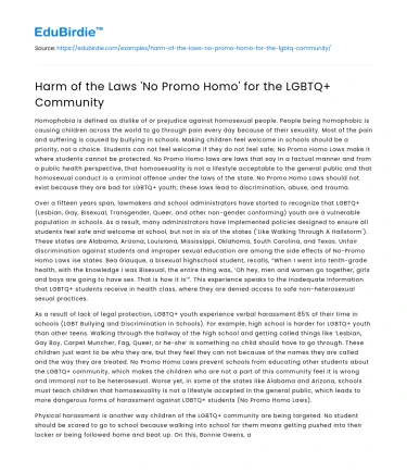Harm of the Laws ‘No Promo Homo’ for the LGBTQ+ Community
