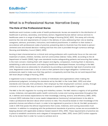 What Is a Professional Nurse: Narrative Essay