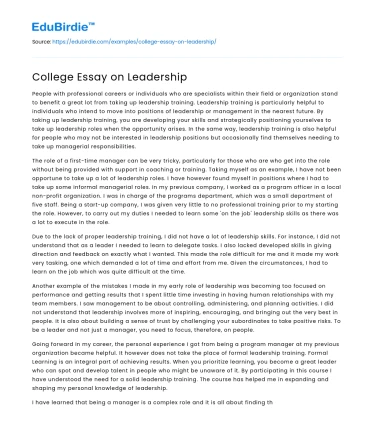College Essay on Leadership