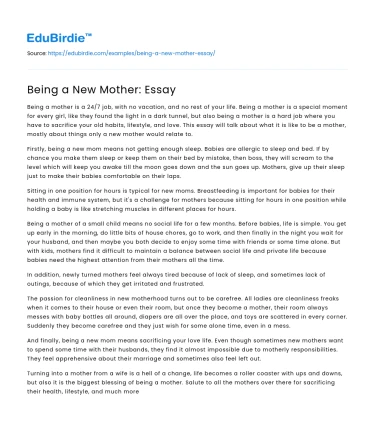Being a New Mother: Essay
