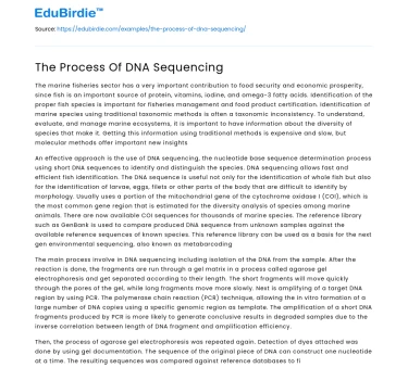 The Process Of DNA Sequencing