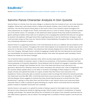 Sancho Panza Character Analysis In Don Quixote