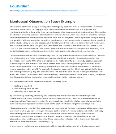Montessori Observation Essay Example