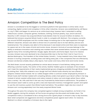 Amazon: Competition Is The Best Policy