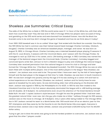 Shoeless Joe Summaries: Critical Essay