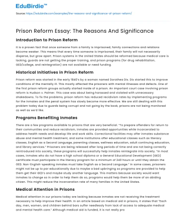 Prison Reform Essay: The Reasons And Significance