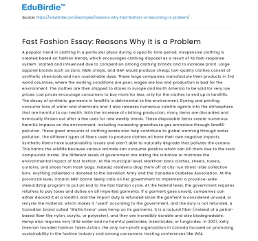 Fast Fashion Essay: Reasons Why It is a Problem