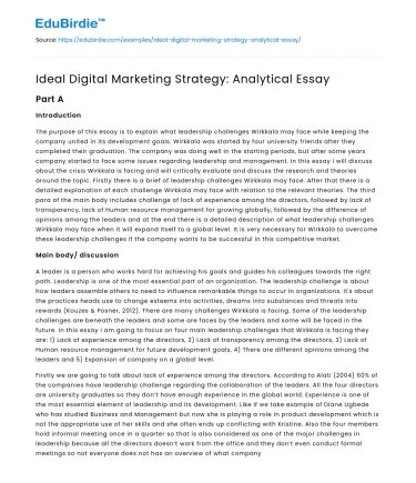 Ideal Digital Marketing Strategy: Analytical Essay