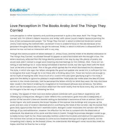 Love Perception In The Books Araby And The Things They Carried