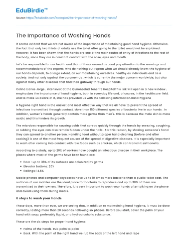 The Importance of Washing Hands