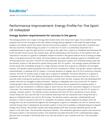 Performance Improvement: Energy Profile For The Sport Of Volleyball