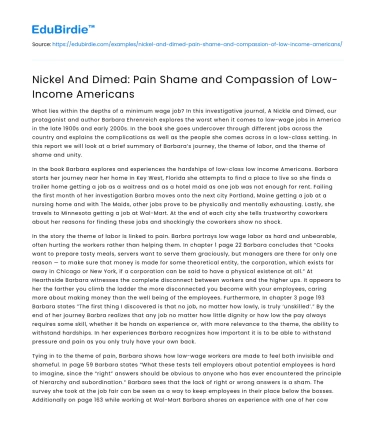 Nickel And Dimed: Pain Shame and Compassion of Low-Income Americans