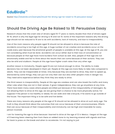 Should the Driving Age Be Raised to 18: Persuasive Essay
