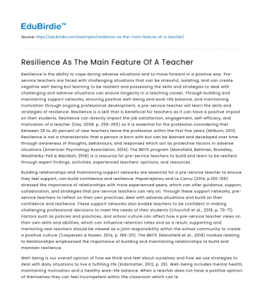 Resilience As The Main Feature Of A Teacher