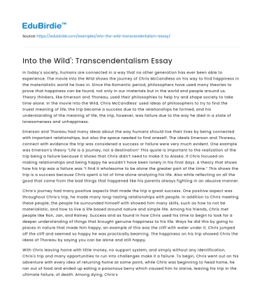 Into the Wild’: Transcendentalism Essay