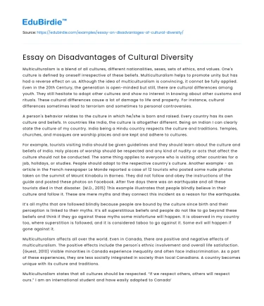 Essay on Disadvantages of Cultural Diversity