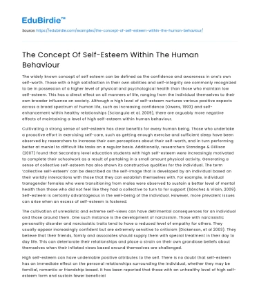 The Concept Of Self-Esteem Within The Human Behaviour